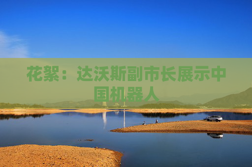 花絮：达沃斯副市长展示中国机器人