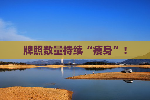 牌照数量持续“瘦身”！
