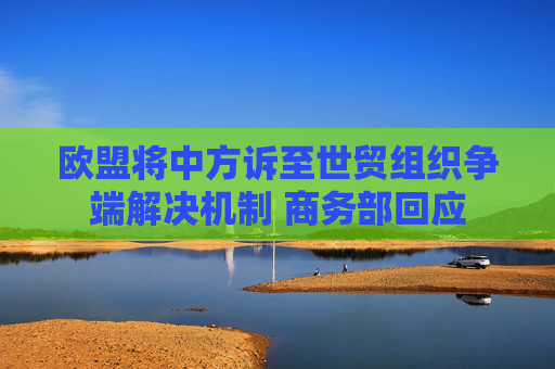 欧盟将中方诉至世贸组织争端解决机制 商务部回应