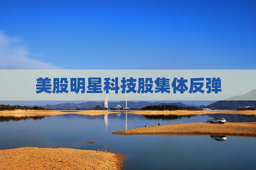 美股明星科技股集体反弹