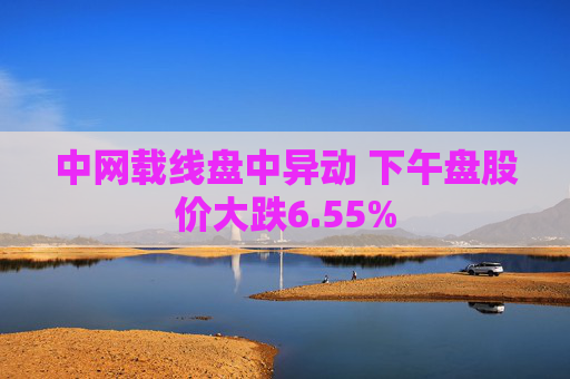 中网载线盘中异动 下午盘股价大跌6.55%