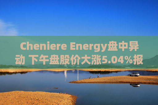 Cheniere Energy盘中异动 下午盘股价大涨5.04%报241.01美元