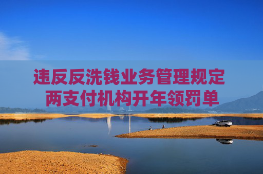 违反反洗钱业务管理规定 两支付机构开年领罚单
