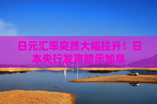日元汇率突然大幅拉升！日本央行发声暗示加息