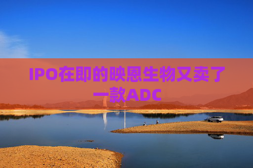 IPO在即的映恩生物又卖了一款ADC