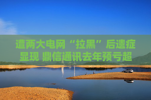 遭两大电网“拉黑”后遗症显现 鼎信通讯去年预亏超2亿元