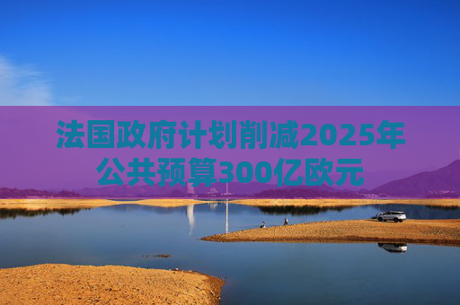 法国政府计划削减2025年公共预算300亿欧元