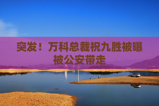 突发！万科总裁祝九胜被曝被公安带走