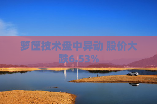 箩筐技术盘中异动 股价大跌6.53%
