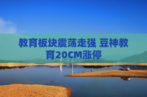 教育板块震荡走强 豆神教育20CM涨停