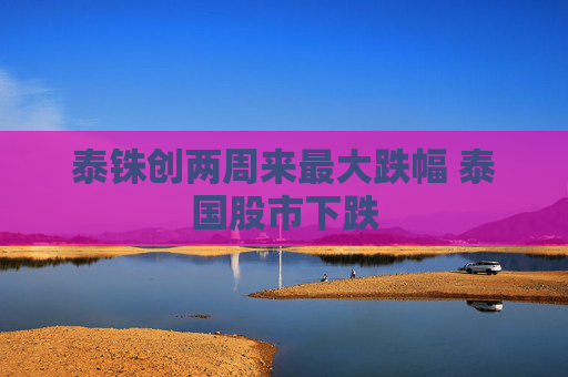 泰铢创两周来最大跌幅 泰国股市下跌