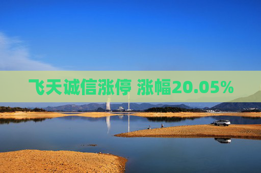飞天诚信涨停 涨幅20.05%