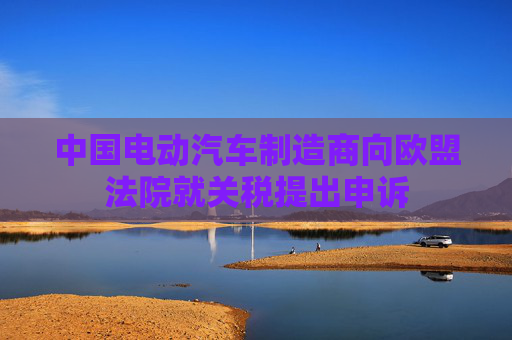 中国电动汽车制造商向欧盟法院就关税提出申诉