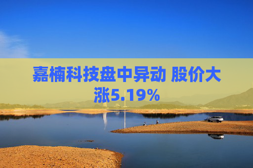 嘉楠科技盘中异动 股价大涨5.19%