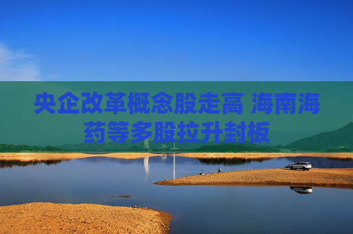 央企改革概念股走高 海南海药等多股拉升封板