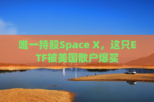 唯一持股Space X，这只ETF被美国散户爆买