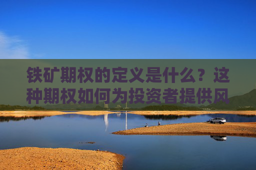 铁矿期权的定义是什么？这种期权如何为投资者提供风险管理工具？