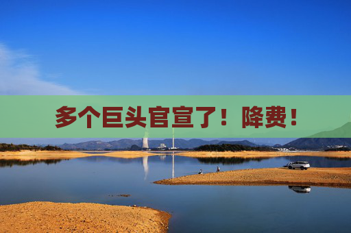 多个巨头官宣了！降费！