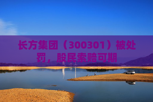 长方集团（300301）被处罚，股民索赔可期
