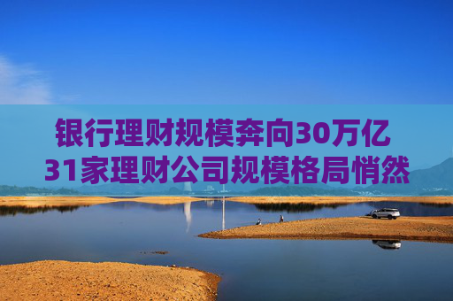 银行理财规模奔向30万亿 31家理财公司规模格局悄然生变