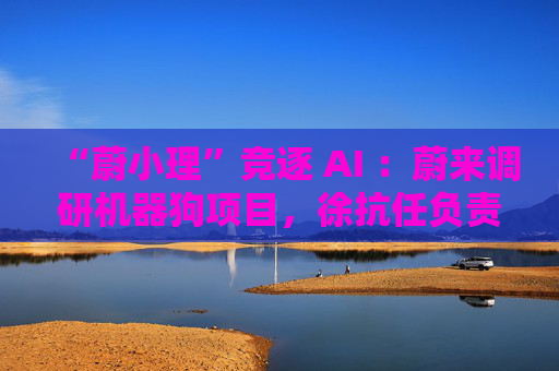 “蔚小理”竞逐 AI ：蔚来调研机器狗项目，徐抗任负责人