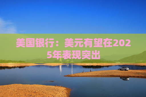 美国银行：美元有望在2025年表现突出