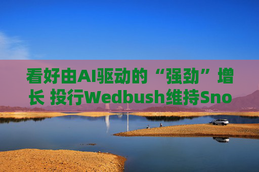 看好由AI驱动的“强劲”增长 投行Wedbush维持Snowflake“跑赢大盘”评级