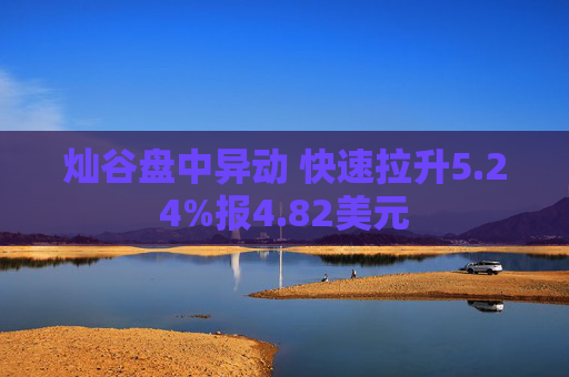 灿谷盘中异动 快速拉升5.24%报4.82美元