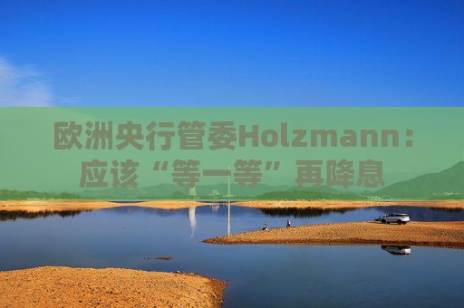 欧洲央行管委Holzmann：应该“等一等”再降息