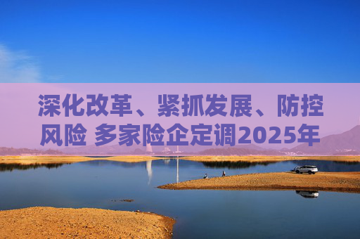 深化改革、紧抓发展、防控风险 多家险企定调2025年经营工作
