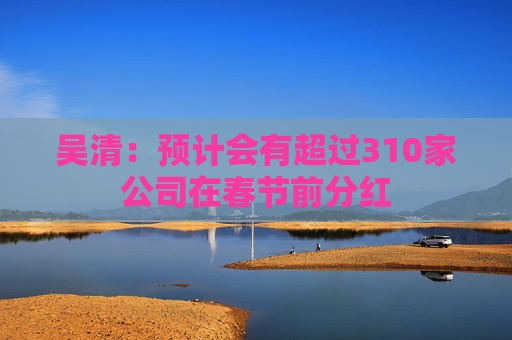 吴清：预计会有超过310家公司在春节前分红