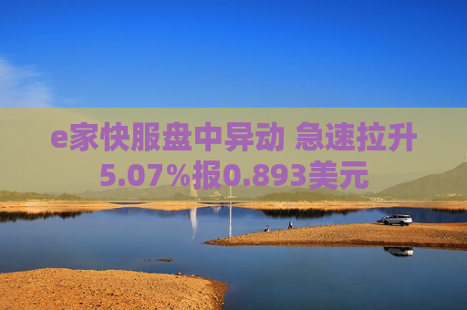 e家快服盘中异动 急速拉升5.07%报0.893美元