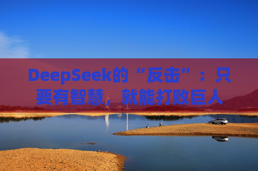 DeepSeek的“反击”：只要有智慧，就能打败巨人
