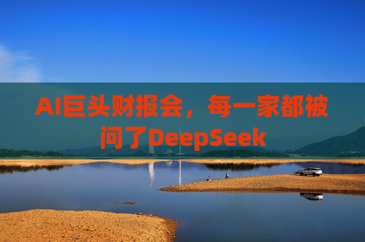 AI巨头财报会，每一家都被问了DeepSeek