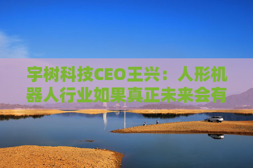 宇树科技CEO王兴：人形机器人行业如果真正未来会有卡脖子的，最可能的还是芯片领域