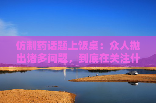 仿制药话题上饭桌：众人抛出诸多问题，到底在关注什么？