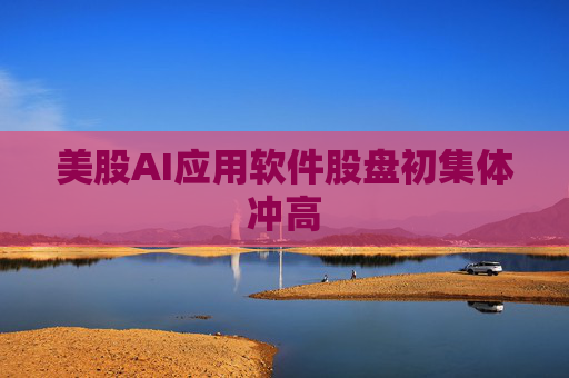 美股AI应用软件股盘初集体冲高