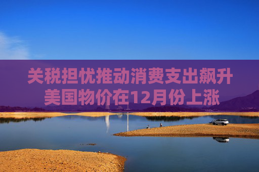 关税担忧推动消费支出飙升 美国物价在12月份上涨