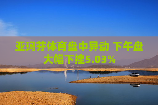 亚玛芬体育盘中异动 下午盘大幅下挫5.03%