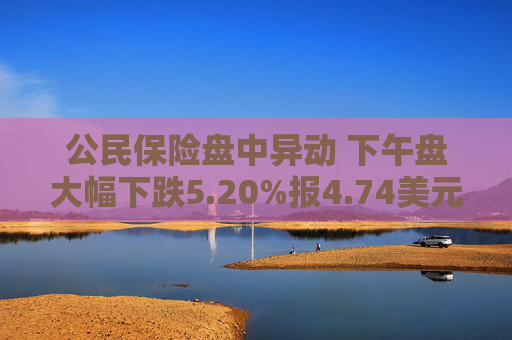公民保险盘中异动 下午盘大幅下跌5.20%报4.74美元
