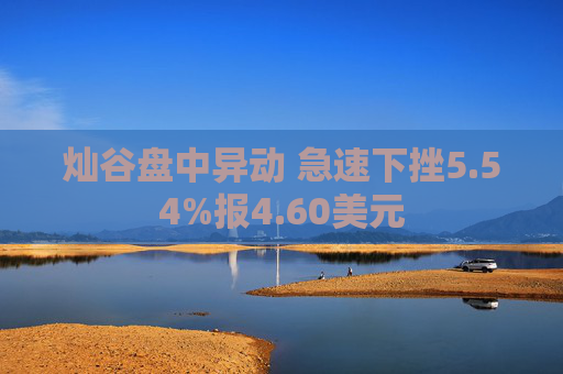 灿谷盘中异动 急速下挫5.54%报4.60美元