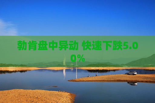 勃肯盘中异动 快速下跌5.00%