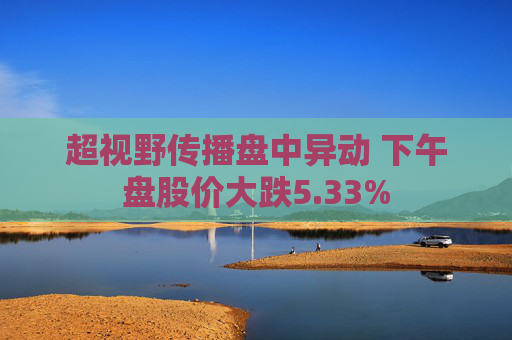 超视野传播盘中异动 下午盘股价大跌5.33%