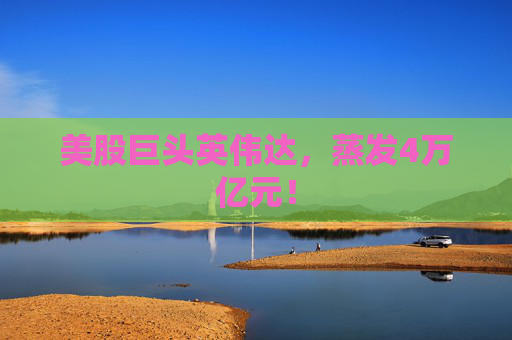 美股巨头英伟达，蒸发4万亿元！