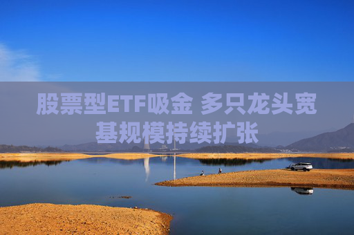 股票型ETF吸金 多只龙头宽基规模持续扩张