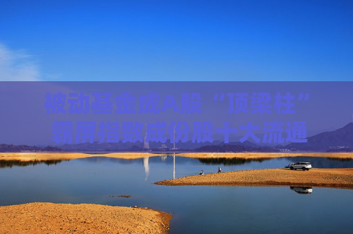 被动基金成A股“顶梁柱” 霸屏指数成份股十大流通股东