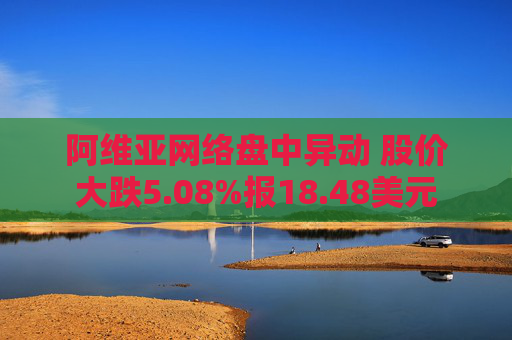 阿维亚网络盘中异动 股价大跌5.08%报18.48美元