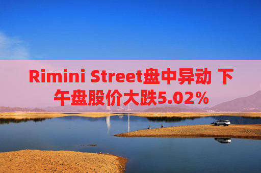 Rimini Street盘中异动 下午盘股价大跌5.02%