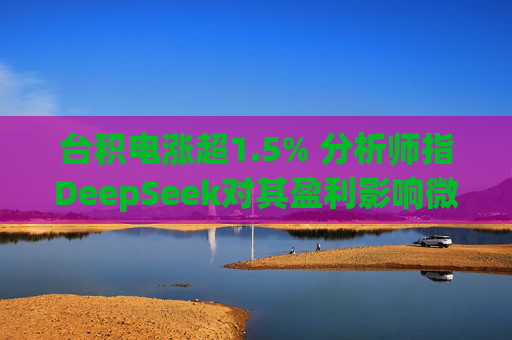 台积电涨超1.5% 分析师指DeepSeek对其盈利影响微乎其微