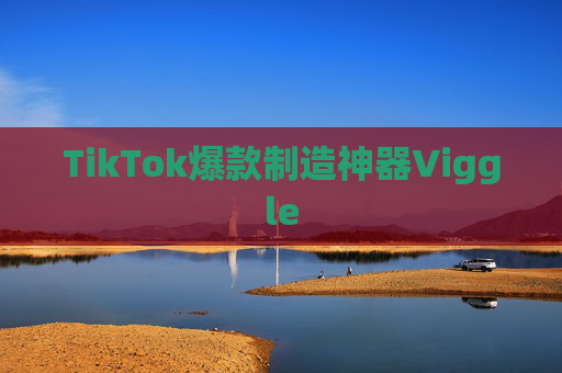 TikTok爆款制造神器Viggle